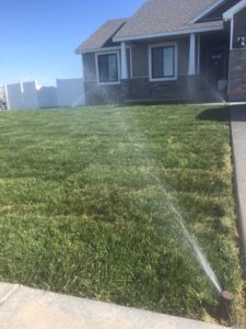 Watering Sod