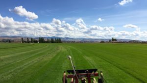 A grassy field from the top of a machine.