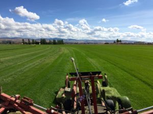 A view of a grassy field from on top of a heavy machine.