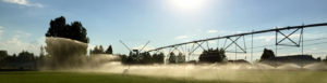 Industrial sprinkler watering a field.