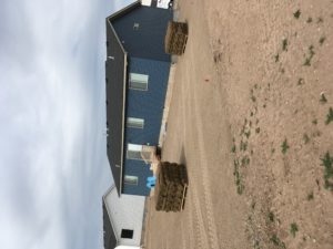 A house with a dirt lawn. Two pallets of sod are ready to be laid.