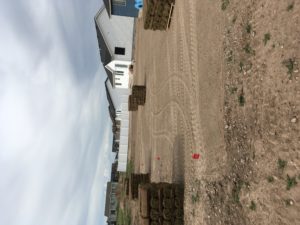 A dirt lawn with pallets of sod ready to be laid.