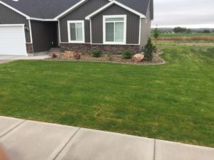 A house with a sod lawn.