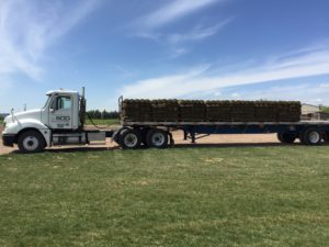 A flatbed semi truck loaded with pallets of sod.