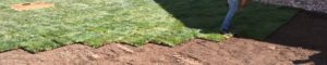 Sod being laid in a yard. Half the yard is covered in sod, the other half is exposed dirt.
