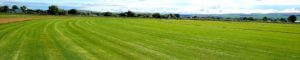 A grassy field.