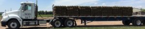 A flatbed semi truck loaded with pallets of sod.