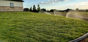 A sod lawn being watered.