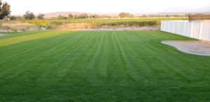A sod yard.
