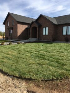 A house with a sod lawn.