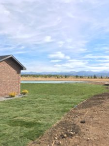 A sod lawn next to a lake or a pond.