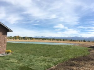 A sod lawn next to a lake or a pond.