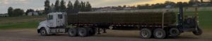 A flatbed semi truck loaded with pallets of sod.