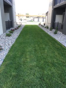 A patch of sod between two buildings.