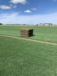 A pallet of sod in the middle of a grassy field.