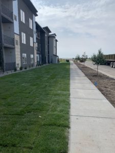 An apartment complex with a new sod lawn. A sidewalk separates the completed sod lawn from an area still awaiting sod next to the road. The sod truck can be seen in the road on the far right side.
