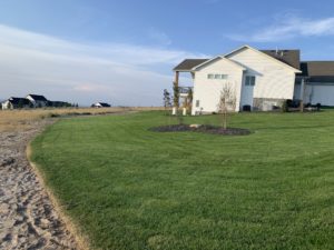 A house with a new sod lawn. A patch in the middle has been landscaped for two trees, a big rock and some shrubs.