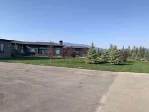 A house with a sod lawn. There are several trees in the lawn.