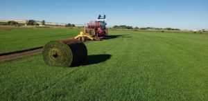 The heavy machinery used to harvest the sod. A freshly harvested roll is behind the machine in the foreground.