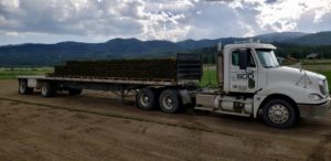 A flatbed semi truck loaded with pallets of sod.