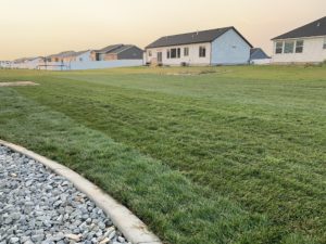 A backyard of sod.