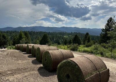 Huge rolls of sod ready to go.