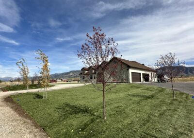 A house with a new sod lawn. Several small tress are scattered through the yard.