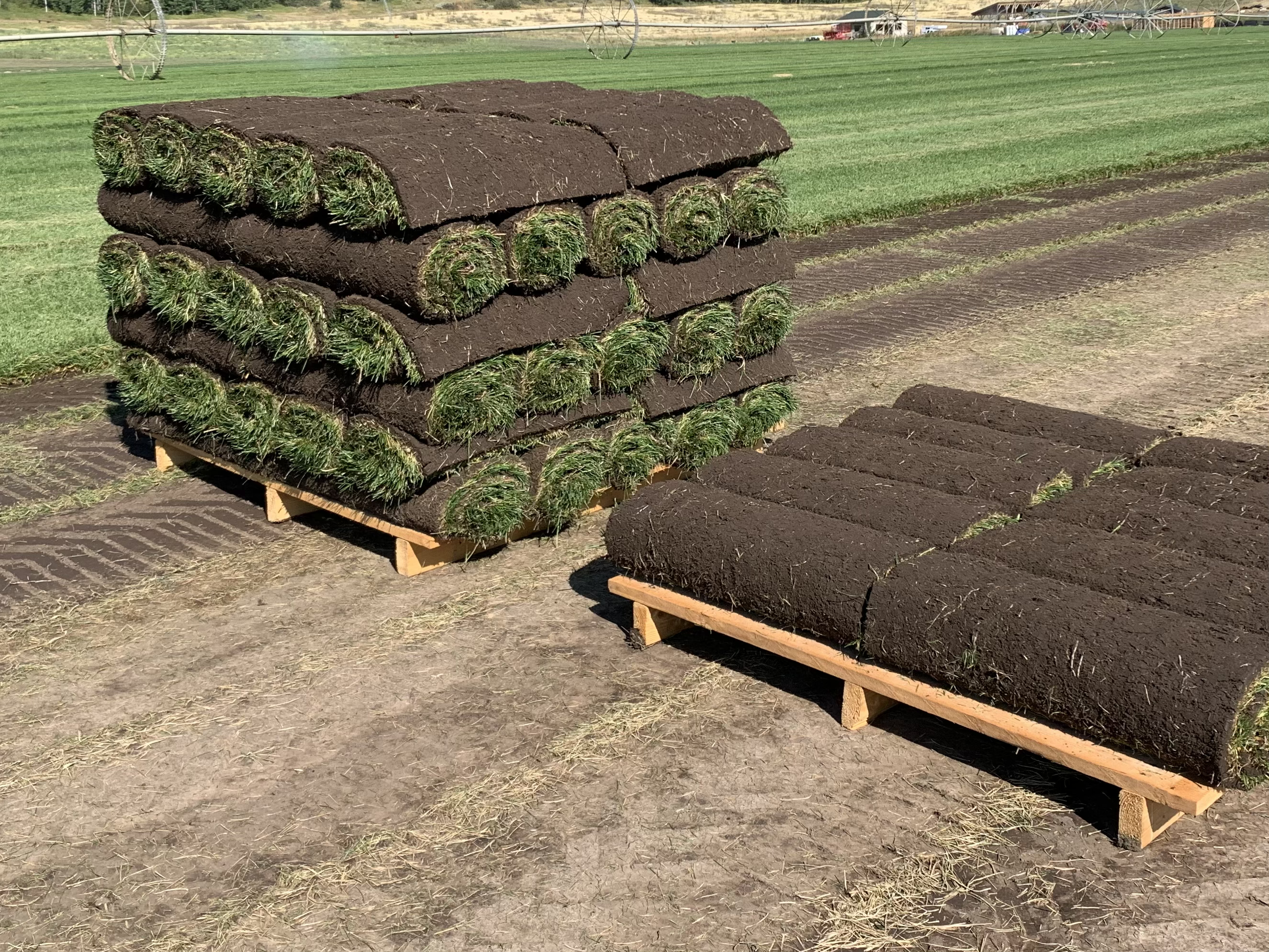 Sod Pallet