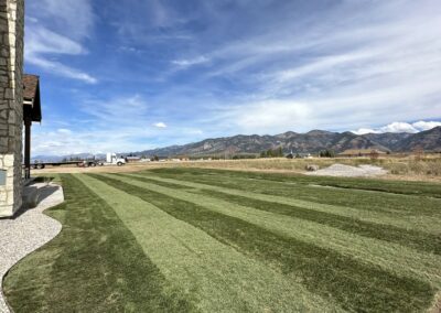 A yard with newly installed sod.