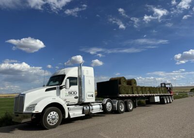 A flatbed semi truck loaded with huge rolls of sod.